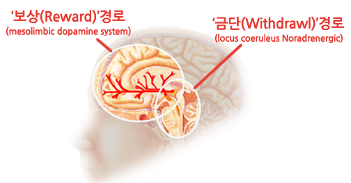 보상경로, 금단경로