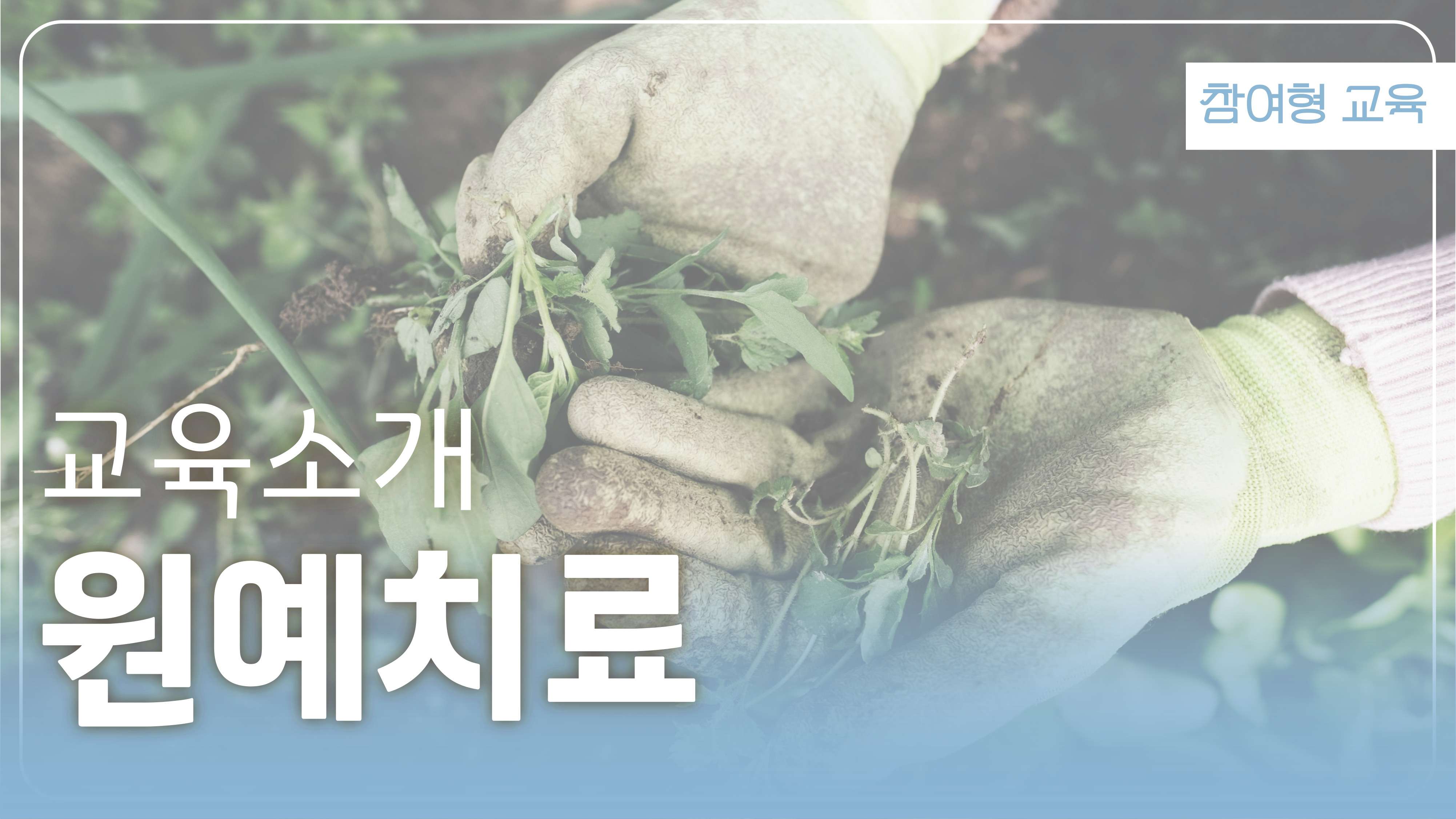 원예치료